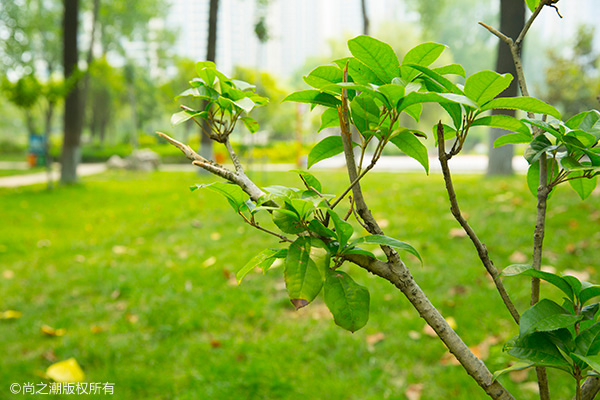 ��������Ů���߳������ߺ� �������Ͻ���˽���̵�